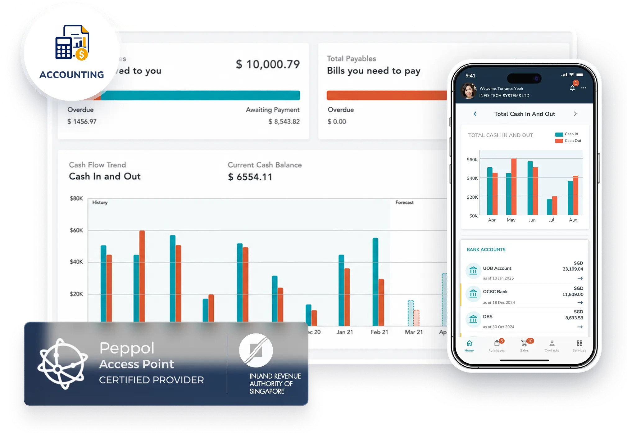 Accounting Software